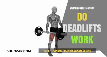 Deadlifts: Targeting Back, Legs, Core, and Grip Muscles Effectively