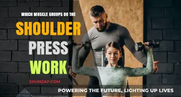 Shoulder Press: Targeted Muscle Groups and Strength Benefits Explained