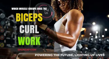 Biceps Curl Benefits: Targeted Muscle Groups and Workout Impact