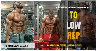Maximizing Strength: Muscle Groups Thriving on Low-Rep Training