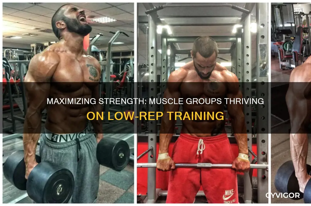 which muscle groups respond best to low rep