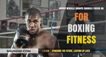 Boxing Fitness: Key Muscle Groups to Target for Peak Performance