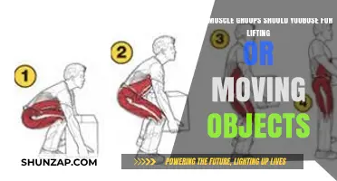Mastering Safe Lifting: Key Muscle Groups for Moving Objects Efficiently