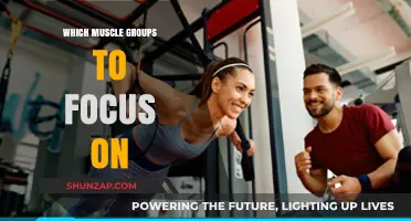 Targeted Training: Key Muscle Groups for Optimal Strength and Balance
