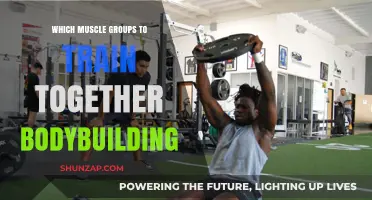Effective Muscle Pairing Strategies for Optimal Bodybuilding Results