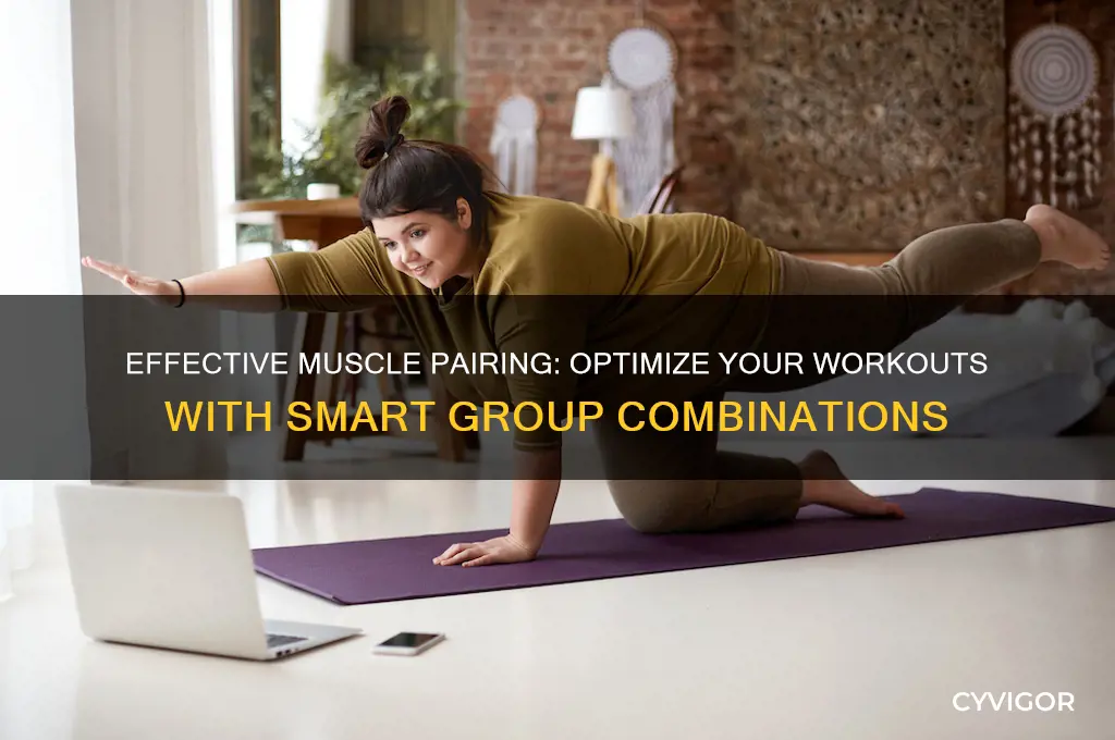 which muscle groups to work out on the same day