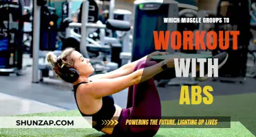 Maximize Core Strength: Best Muscle Groups to Pair with Abs Workouts