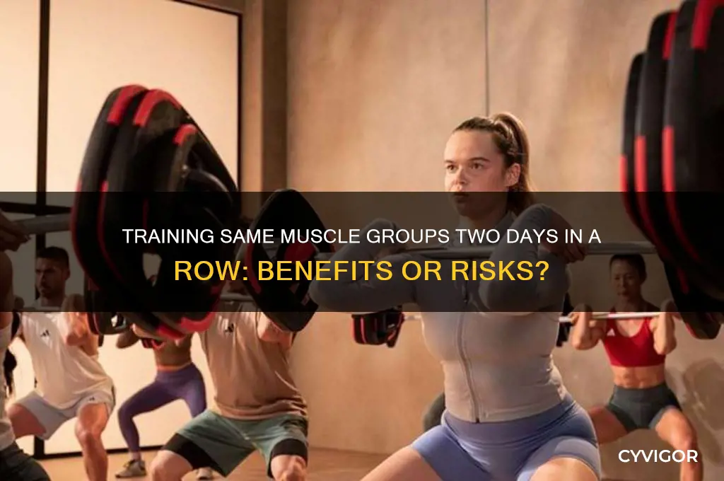 which muscle groups two days row