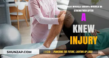 Strengthening Key Muscle Groups for Knee Injury Recovery and Stability