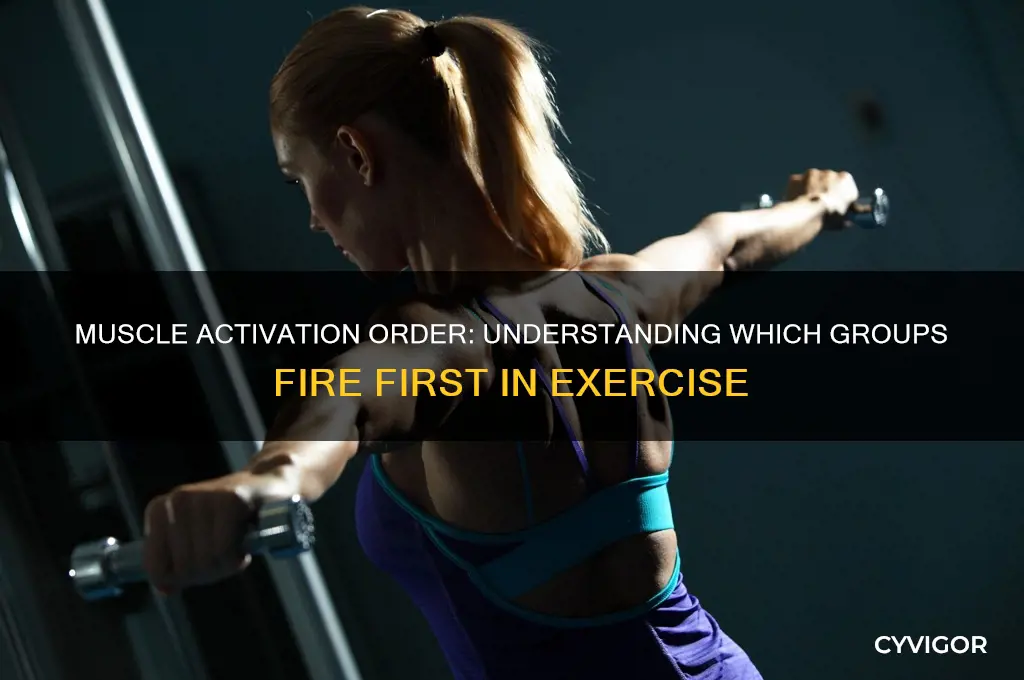 which muscle groups work first