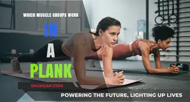 Plank Power: Unlocking the Key Muscle Groups in Core Stability