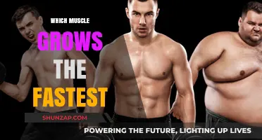 Maximize Gains: Discover the Fastest-Growing Muscle in Your Body