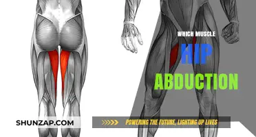Hip Abduction: Strengthening the Gluteal Muscles