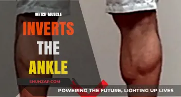 Calves and Ankles: The Secret to Powerful Strides