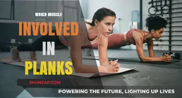 Planks: Which Muscles Are Engaged in This Exercise?