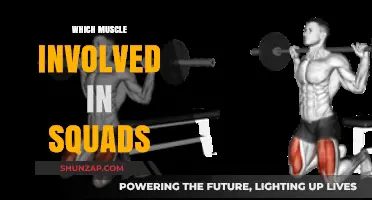 Squats: Which Muscles Are Involved in This Compound Movement?