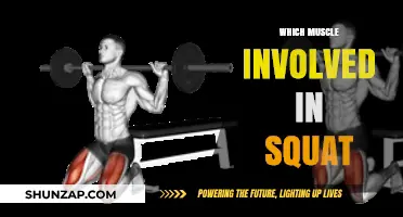 Master the Squat: Know Your Muscles