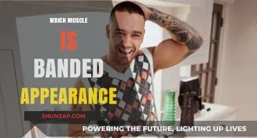 Muscle Banding: What Does It Mean?