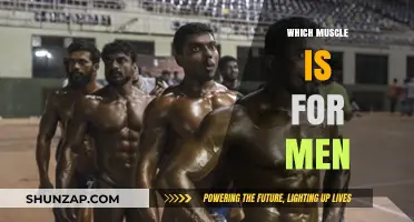 Best Muscle-Building Strategies for Men