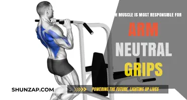 Key Muscle for Neutral Arm Grips: Understanding Its Role