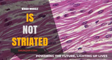 Striated Muscles: What's the Exception?