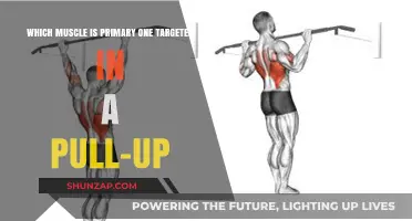 Mastering Pull-Ups: The Latissimus Dorsi's Role in Strength Training
