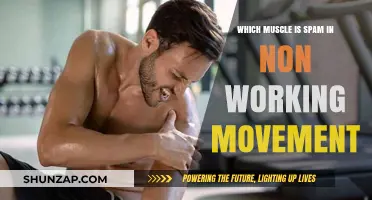 Understanding Involuntary Muscle Twitching: The Science Behind Non-Working Movement Spam