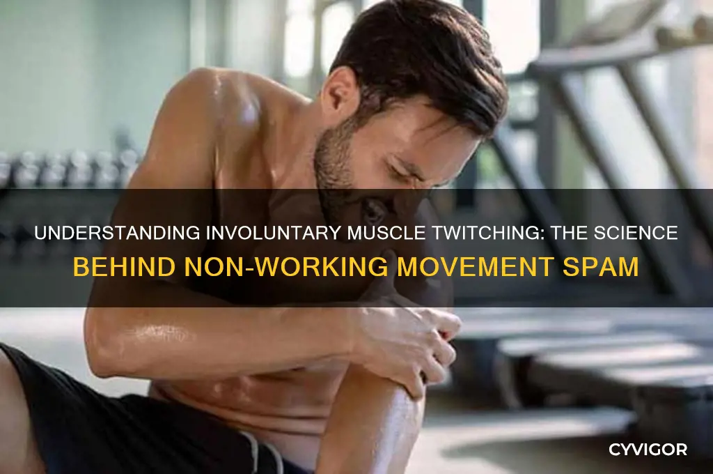 which muscle is spam in non working movement
