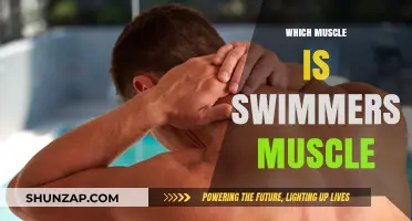 How Swimmers Develop Their Iconic Muscle Definition