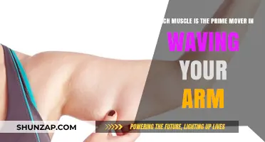 Prime Mover in Arm Waving: Unveiling the Key Muscle