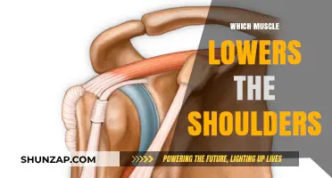 Shoulder Workouts: Lowering and Relaxing Techniques
