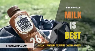 Best Muscle Milk: Choosing the Right Protein Shake