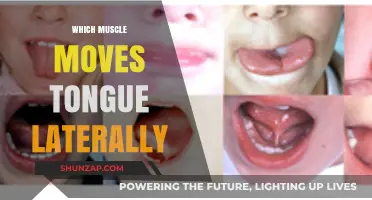 Tongue Lateral Movement: Which Muscle is Responsible?