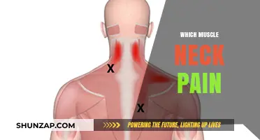 Understanding Neck Pain: Identifying the Muscles Causing Discomfort