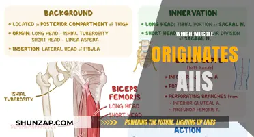 AI's Muscle Memory: Origin Stories
