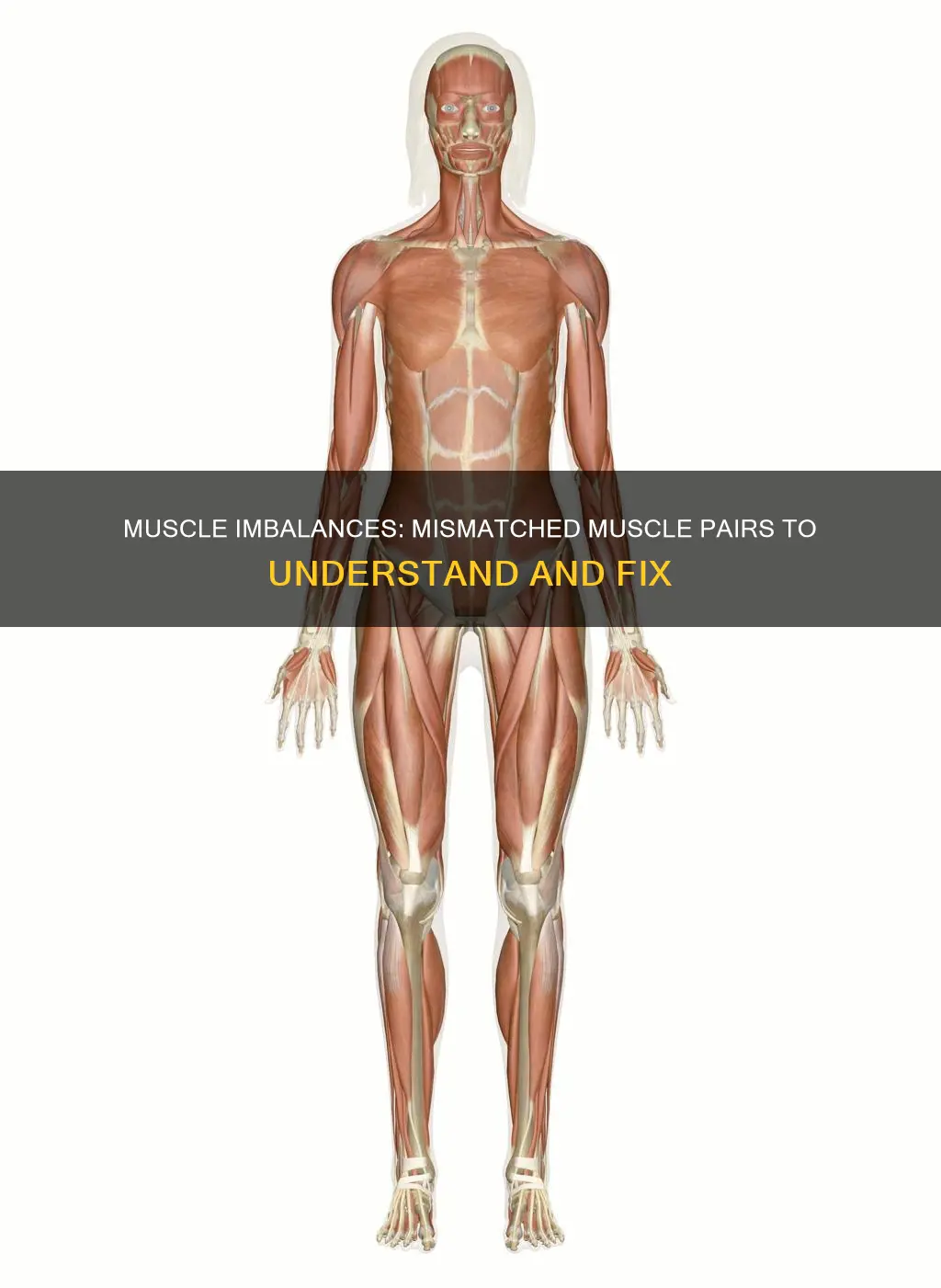 which muscle pairs are mismatched