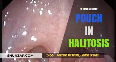 Muscle Pouches and Halitosis: What's the Link?