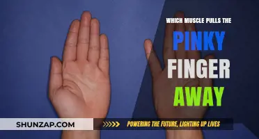 Unveiling the Muscle Behind Pinky Finger Abduction: A Detailed Guide