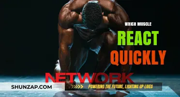 Quickest Reacting Muscles: Which Ones Are They?