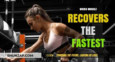 Exploring the Body's Fastest Muscle Recovery