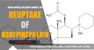 Muscle Relaxant Blocking Norepinephrine Reuptake: Unveiling the Mechanism