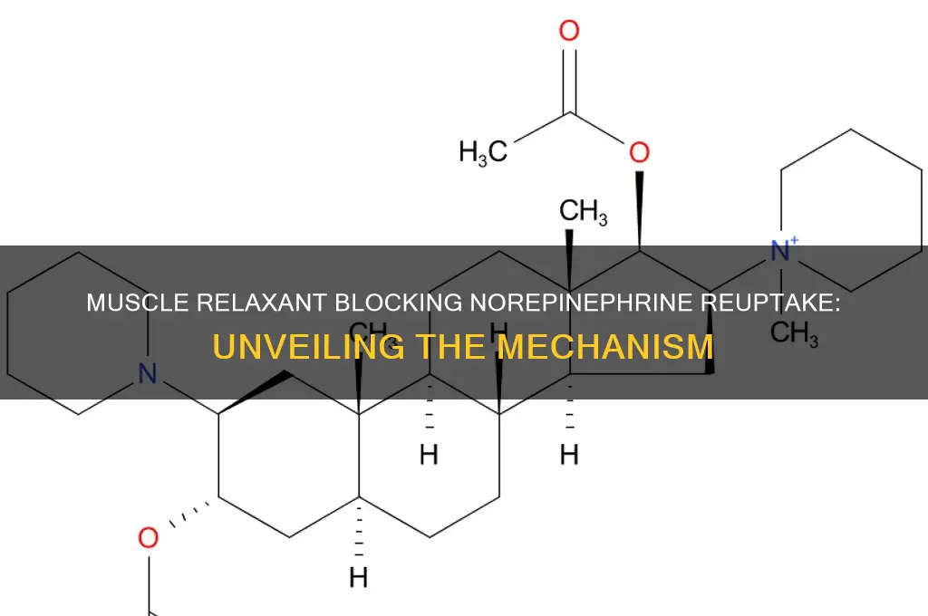 which muscle relaxant inhibits the reuptake of norepinepherine