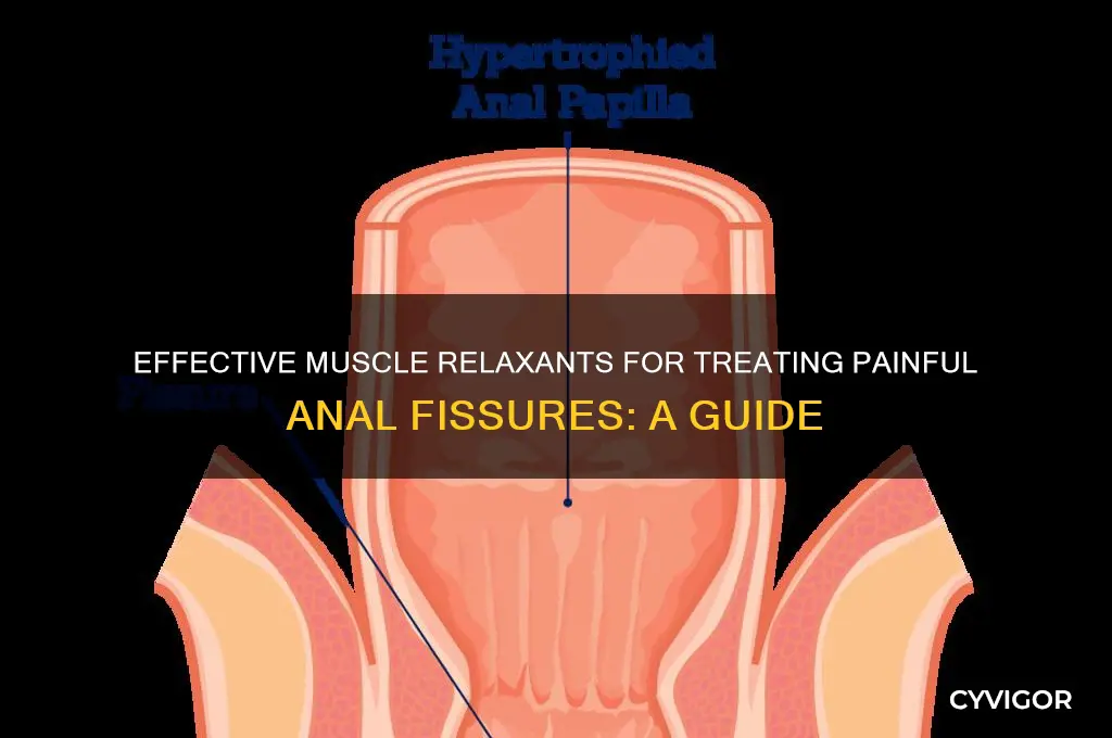 which muscle relaxant is used for anal fissure