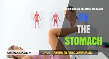 Gentle Muscle Relaxers: Stomach-Friendly Options for Comfortable Relief