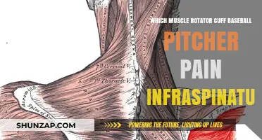 Infraspinatus Pain in Baseball Pitchers: Rotator Cuff Injury Explained