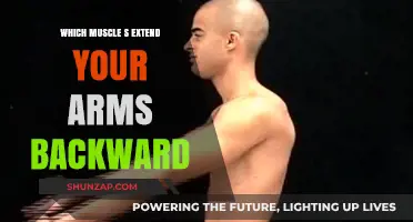 Muscles Behind Arm Extension: Unlocking Backward Arm Movement