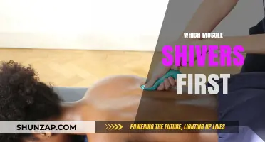 The First Muscle to Shiver: Uncovering the Mystery