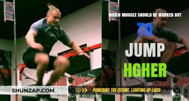Unlock Explosive Jumps: Key Muscles to Train for Higher Leaps