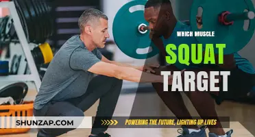 Squats: Targeting the Right Muscles for Strength