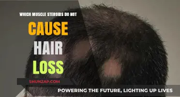 Muscle-Building Steroids That Spare Your Hair: A Comprehensive Guide